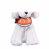 Cute Small Dog Cat Shrimp Sushi Bandana