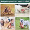 Christmas Dog Soccer Balls with Straps (8 Inch)