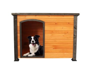 45" Wooden Large Dog House, weatherproof winter strap with elevated feet, (gold red and black)