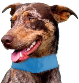 Pet Life Summer-Cooling' Insert Able And Adjustable Cooling Ice Pack Neck Wrap