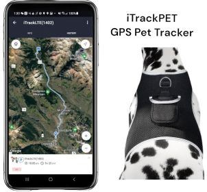Realtime GPS Location Tracking Collars for Dogs Size: M