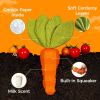 Rubber Carrot Dog Squeaky Toy