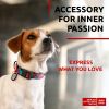 Adjustable Nylon Dog Collar for 9-14 inch x 3/5 inch Neck with Durable Plastic Breakaway Buckle