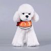 Cute Small Dog Cat Shrimp Sushi Bandana