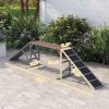 Dog Agility Equipment Ramp with Safety Bar, Non-slip Surface, for Walk & Pause Training