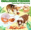 Dog Toys for Aggressive Chewers 2 Pack  Dog Toys