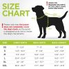 Lightweight Reversible Winter Dog Coat S Size Green Blue Warm Dog Jacket Water Resistant Windproof Dog Jacket for Small Dogs Comfortable Dog Vest