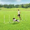 Sturdy Dog Weaves Obstacle Poles; Speed and Agility Equipment w/ Storage Bag