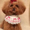 Handmade Pink Bowknot Retro Lace Dog Collar/Necklace 8.2-11.2"