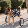Dog Wheelchair for Back Legs up to 88lbs., Adjustable and Lightweight, with 2 Shock-Absorbing Wheels