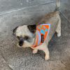 Orange Dog Bandana S Size Hi Visibility Reflective Blaze Orange Bandana