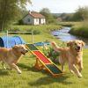 Wooden Dog Agility Seesaw for Balance Training and Exercise