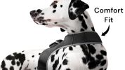Wireless GPS Realtime Tracking Dog Collars Size:L
