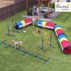 Dog Agility Training Equipment, 12-Piece Dog Obstacle Course