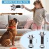 Interactive Plush Dog Squeak Toy with Crinkle Paper