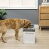 Raised Dog Feeding Station with Storage Drawer, 2 Large Steel Bowls, White
