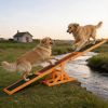 Wooden Dog Agility Seesaw for Balance Training and Exercise