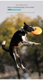 Dog Training Bite-resistant Frisbee; EVA floating toy (Color: Orange large (235mm), size: 30cm with zipper)