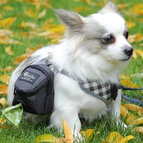 Outdoor Travel Dog Poop Bag Dispenser (Color: Pink)