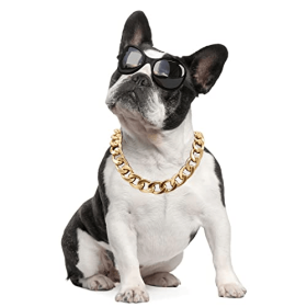 Gold Chain Dog Collar Keji Teddy Fadou domineering Necklace (Color: Golden, size: 45cm necklace +7cm adjusting chain)
