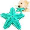 Sea Star Shaped Dog Toothbrush w/Sound Toy