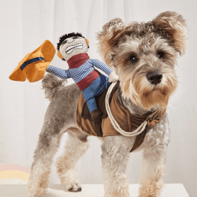 Cowboy Rider Pet Costume, Funny Dog Costume For Small Medium Dogs, Pet Clothes (Color: Mixed Color, size: S)