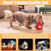 Dog Snuffle Ball-Interactive Puzzle Toy