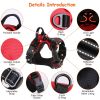 Rechargeable LED Light Up Harness