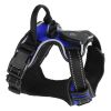 Rechargeable LED Light Up Harness