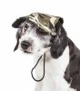'Torrential Downfour' Camouflage UV Protectant Adjustable Fashion Dog Cap