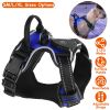 Rechargeable LED Light Up Harness