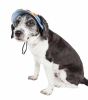 Fashion 'Colorfur' UV Protectant Adjustable Canopy Brimmed Dog Hat