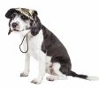 'Torrential Downfour' Camouflage UV Protectant Adjustable Fashion Dog Cap