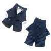 Big dog striped bow tie suit