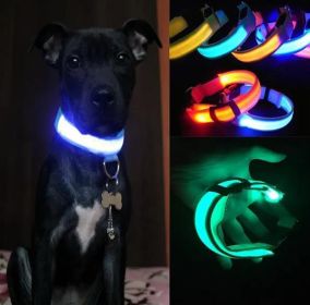 Nylon Dog Collar LED Safety Light (Color: Blue)