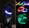 Nylon Dog Collar LED Safety Light