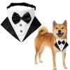 wedding suit dog collar; wedding triangle scarf