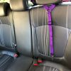Adjustable Nylon Dog:  Car Seat Belt,, Lead/Leash, and Harness Collar