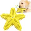 Sea Star Shaped Dog Toothbrush w/Sound Toy