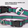 Waterproof Stain-Resistant Adjustable Dog Collar w/  Quick-Release Buckle,