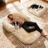 Large Dog Foldable Plush Washable Orthopedic Dog Bed for People Doze Off