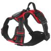 Rechargeable LED Light Up Harness