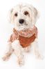 Designer Fashion Knitted Dog Sweater Heavy Cable Royal Bark