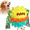 Vocal Dog Leaking Food Ball Toy