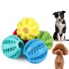 Dog Squeaky Ball Toy; Chew Toy Tooth Cleaning Ball-Bite Resistant
