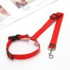 Adjustable Nylon Dog:  Car Seat Belt,, Lead/Leash, and Harness Collar