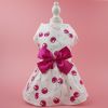 Bow Floral Pattern Summer Dog Dress