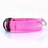 Nylon Dog Collar LED Safety Light