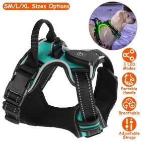 Rechargeable LED Light Up Harness (Color: Green, size: M)