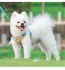 Dog Reflective Harnesses and Leash set; Chest Strap Dog Vest
